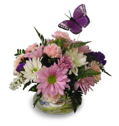 Afternoons and Butterflies from Ladybug's Flowers & Gifts, local florist in Tulsa